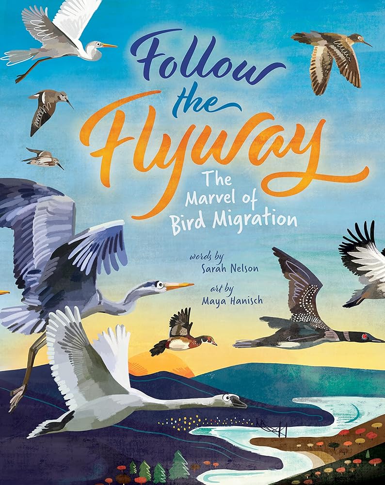 Follow the Flyway: The Marvel of Bird Migration cover image
