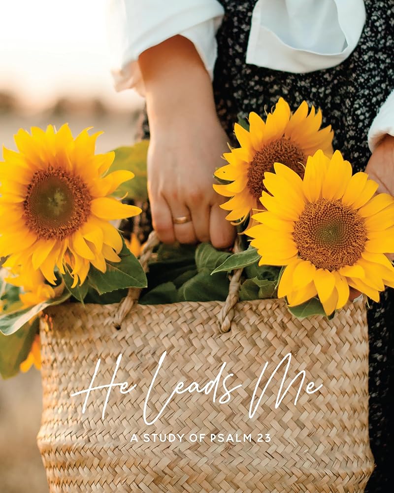 He Leads Me | Psalm 23 cover image
