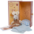 Mouse Liam in Stamp Box