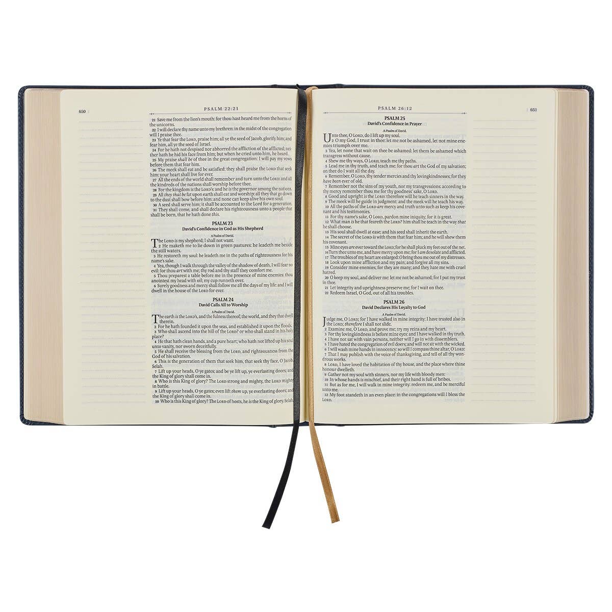 Note Taking KJV Bible- Large Print