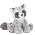 Ringo the Raccoon