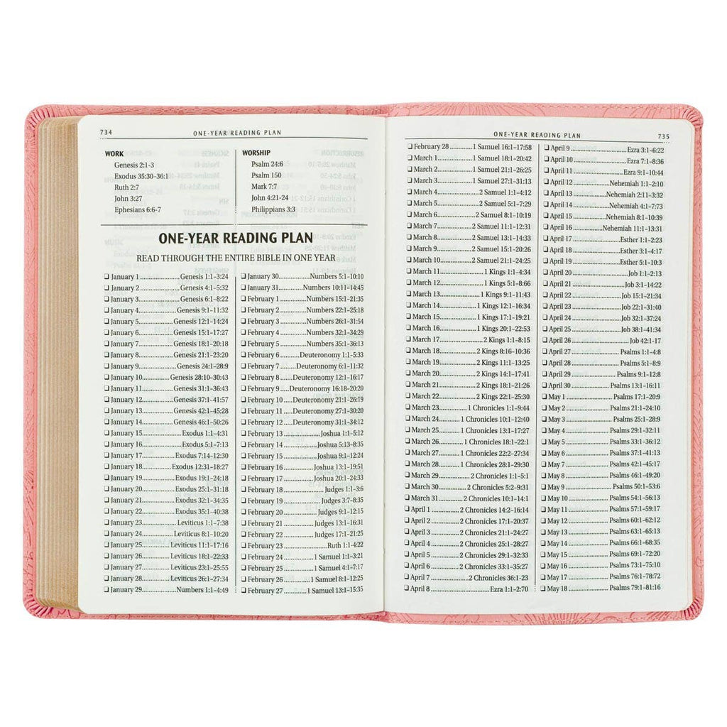 Blossom Pink Faux Leather Gift Edition KJV Bible