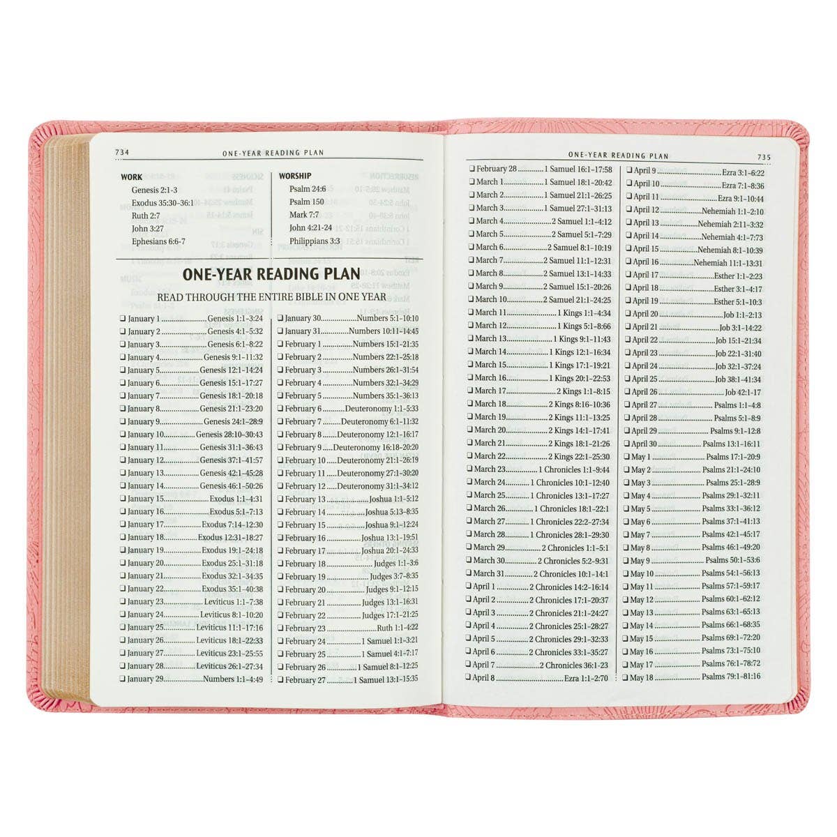Blossom Pink Faux Leather Gift Edition KJV Bible